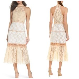 Foxiedox Amelia Lace Midi Dress Color Block Halter Neck Size Large NWT